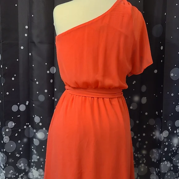 Express size SP coral dress - Picture 3 of 12
